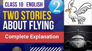 The Black Aeroplane Class 10 Animation | Two Stories About Flying Class 10 Summary