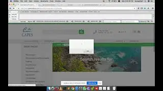 Reflected XSS