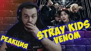 Реакция на Stray Kids 
