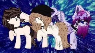 &Pony - meme& ibentities