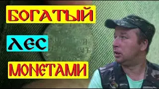Лес богатый монетами Красивые находки в темном и страшном лесу с E - Trac