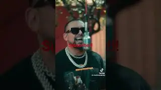 Shawn Paul just gimme the light live performance #dancehall #reggae #music