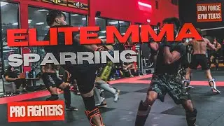 INSANE ELITE MMA SPARRING | IRON FORGE GYM TEXAS #boxing  #muaythai #mma #sparring #kickboxing #bjj