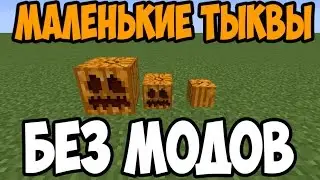 МАЛЕНЬКИЕ ТЫКВЫ БЕЗ МОДОВ
