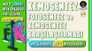 38) Kemosentez ve Fotosentez - Kemosentez Karşılaştırma | 12. Sınıf | AYT Biyoloji Kampı 38. Gün