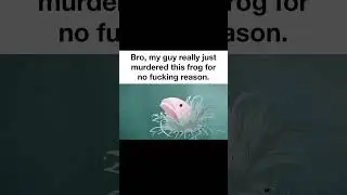Funny Random Memes 102 | Funny Memes Compilation | Memes