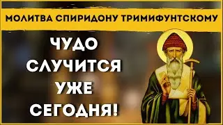 🙏 ЧУДО СЛУЧИТСЯ УЖЕ СЕГОДНЯ! / Молитва Спиридону Тримифунтскому  🙏