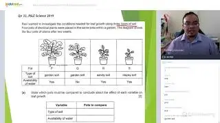 Answering Techniques PSLE Science Open-Ended Questions - Experiment-type Question