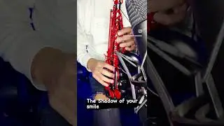 The shadow of your smile ❤️ Sax cover #theshadowofyoursmile #saxcover #cristianromerosaxofonista