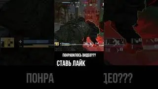 Калибр - Лучшее на Травнике#shorts