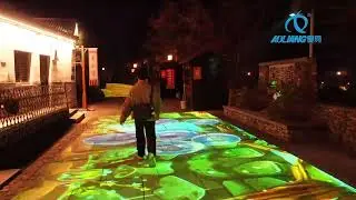 interactive projector