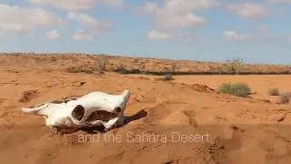 Morocco