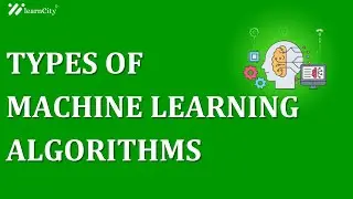 Types of Machine Learning Algorithms