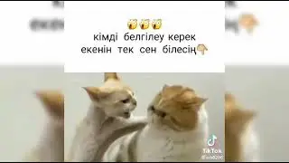казакша прикол 2023 жыл