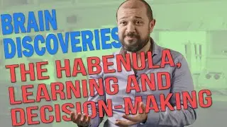The habenula, learning and decision-making by Prof. Emre Yaksi at KISNeuro