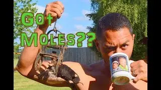 How To Trap A Mole - GUARANTEED To Work!!!