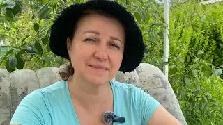 Расписание обучения Бейс.