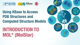 Introduction to Mol* (MolStar) Molecular Graphics System