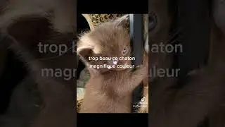 superbe et beau