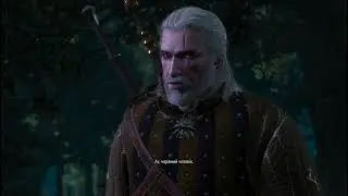The Witcher 3 Wild Hunt - Шоковая терапия
