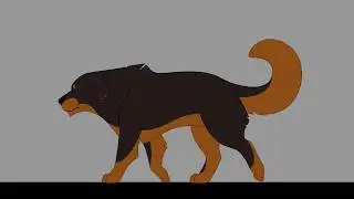 Marche 2D - Chien