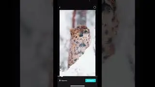 Простые фильмы в приложении CapCut из видео+фото. Разные способы обрезки видео.
