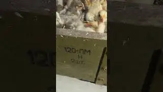 120 мина