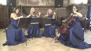 Still got the blues - Cvartet Anima - Gary Moore