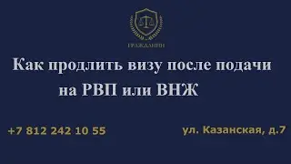 Как продлить визу после подачи на РВП или ВНЖ?
