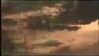 Lead Kindly Light Spanish Video