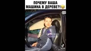 почему ваша машина в дереве?