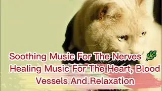 Soothing Music For The Nerves 🌿 Healing Music For The Heart, Blood Vessels And Relaxation