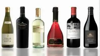 Sizzle Reel | Banfi Vinters