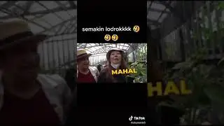 (SOK IMAH BELI BUNGA JANDA BOLONG)