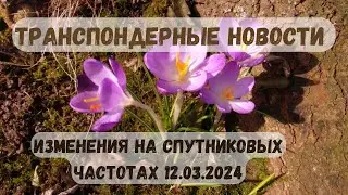 Транспондерные новости. Изменения на спутниковых частотах 12.03.2024
