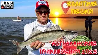Рыбалка в Астрахани//Готовим плов//Бешеный клёв СУДАКА.#teamправильнаяподсечка