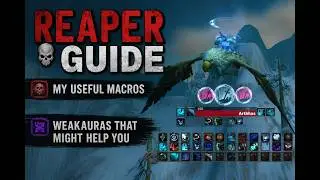 My Reaper Talent Build & Macro Guide - Never Run Out of Healing! (Project Ascension)
