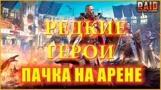 ТОП РЕДКИХ ГЕРОЕВ НА АРЕНЕ ДЛЯ НОВИЧКОВ RAID SHADOW LEGENDS