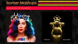 The Froot Motto || MARINA ft. Tiesto & Ava Max Mashup