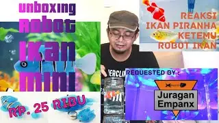 Robot Ikan Mini 25 ribu !!! | Request Channel Juragan Empanx | Robot Ikan VS Piranha | Arya Art