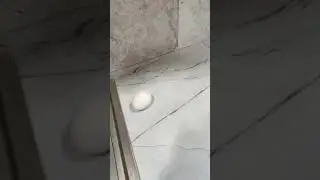 #тикток #яйцо
