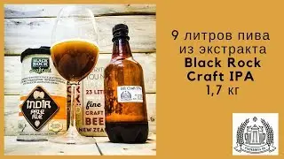 9 литров пива из Black Rock Craft IPA