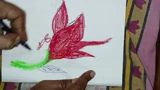 amazing flower 🌹