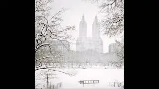 New York City in the snow by Vivienne Gucwa
