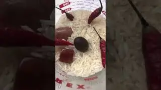 Tree spell for prosperity