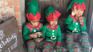 Why Photographers charge so much ? Behind the scene of our holiday pictures session / grand babies .