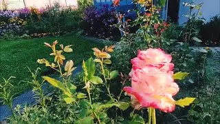 У нас вечереет🏡...
