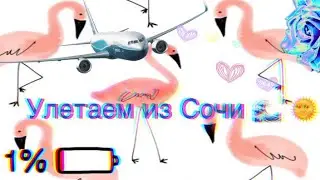 Влог : Улетаем из Сочи | Alina Si Fox