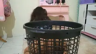 CESTO NOVO REVELOU EU SEM NADA