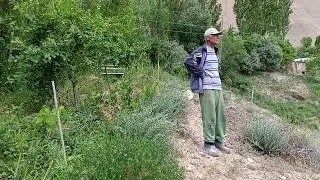 Санаторий доктора Тохири Таджикистан 6 июня 2024 года телефон для связи 📞+992 92 786 80 27